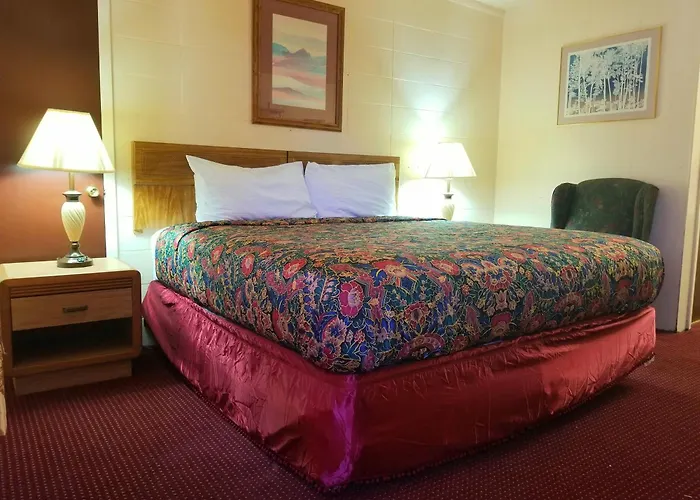 Town House Motor Hotel 2*